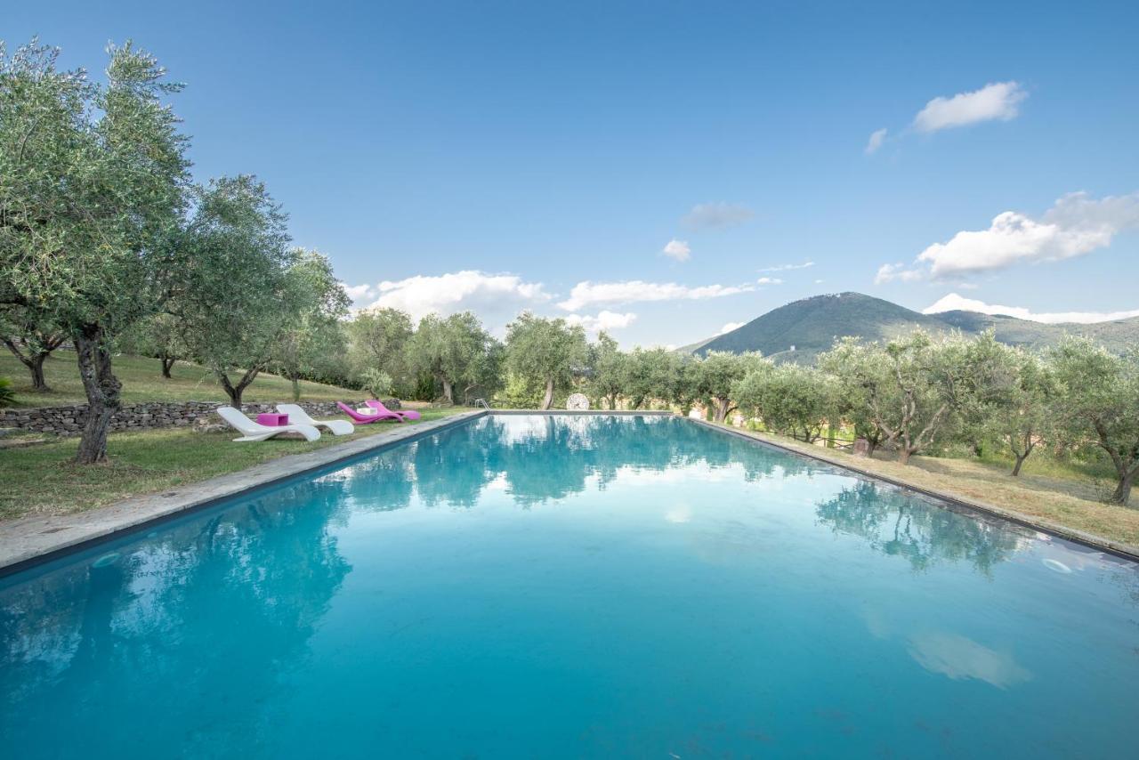 Il Castellaccio Bed and Breakfast Filettole Zewnętrze zdjęcie